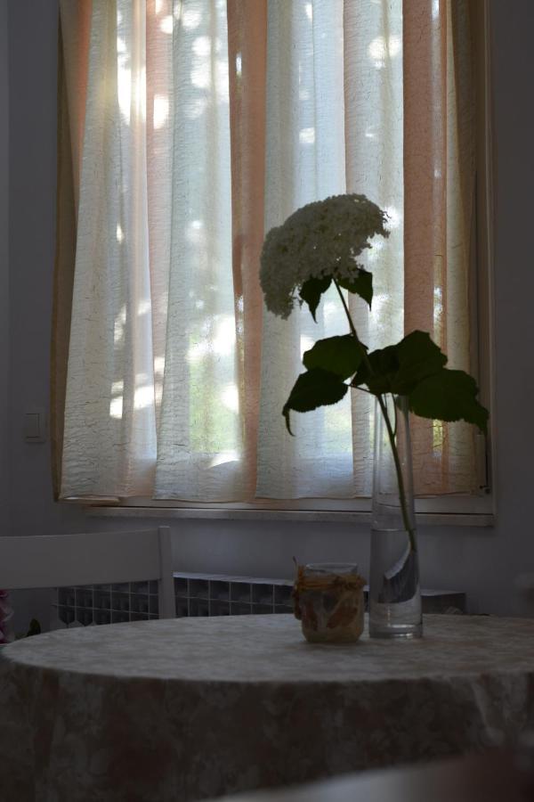 Studio Apartman Marina Vodice Eksteriør billede